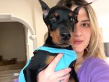 Eğitim merkezinden doberman yavruları
