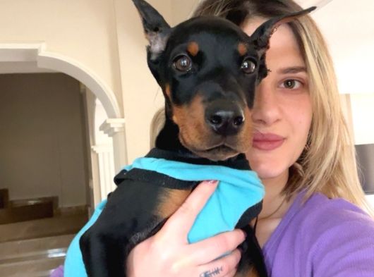 Eğitim Merkezinden Doberman Yavruları