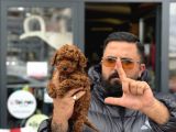 Üst kalite yavrular için ankaranın en mezkez konumu