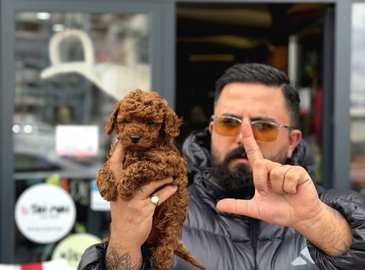 Üst Kalite Yavrular Için Ankaranın En Mezkez Konumu
