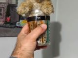 Şeker Tadında Poodle Bebekler