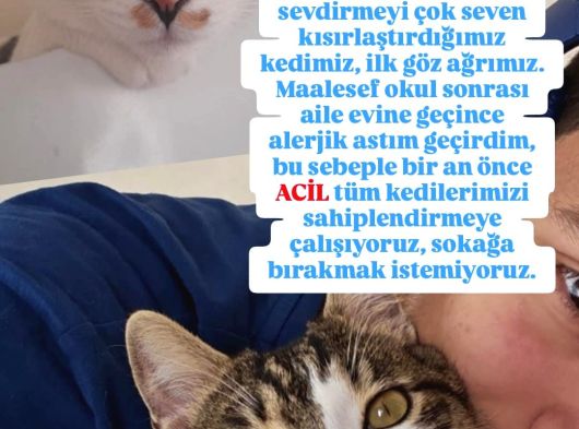 Astim Sebebi̇yle Aci̇l Sahi̇plendi̇rme görsel