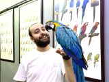 EĞİTİMLİ KONUŞAN MACAW PAPAĞANI