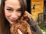 Irkının En Sevimlisi Toy Poodle Bebekler