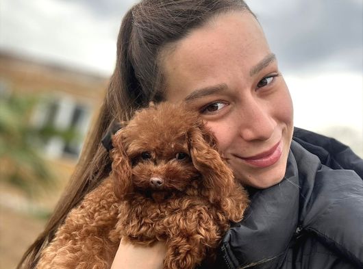 Irkının En Sevimlisi Toy Poodle Bebekler görsel