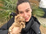Irk  Sağlık Garantili Maltipoo Bebekler