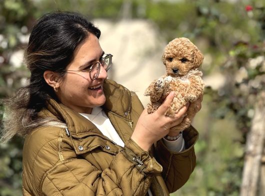 Irk Ve Kg Garantili Maltipoo Oyuncu Bebekler