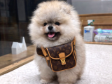 Model Oğlumuz Rubby