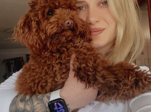 Toy Poodle Yavrularımız