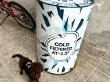 Toy Poodle Yavrularımız