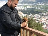 Korea Saglikli Bebekler