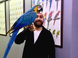 Eği̇ti̇mli̇ Konuşan Evci̇l Sarilaci̇vert Macaw Papağanim