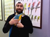Eği̇ti̇mli̇ Konuşan Evci̇l Sarilaci̇vert Macaw Papağanim