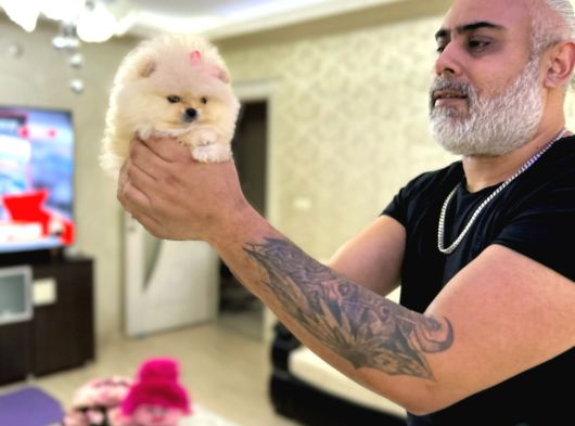 Mi̇kro Boy Prenses görsel