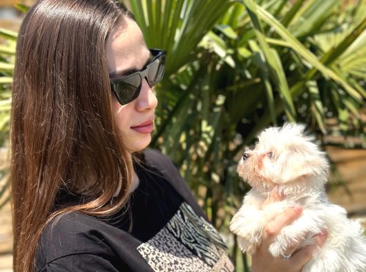Kaliteli Üretim Çiftliğinden Maltese Terrier Bebekler görsel
