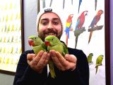 El Besleme Bebek Alexander Papağan Yavrularimiz