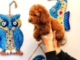 Koyu Red Brown Toy Poodle Yavruları Sağlıklı Aşılı Teacupboy