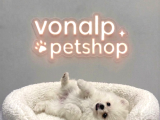 Vonalp Pet Garantisiyle Efsane Güzelli̇kte Pomerani̇an Boo