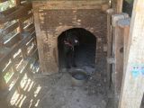 Cane Corsa  Safkan