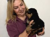 Koca Kafa Muhteşem Rottweiler Yavrularımız