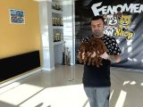 Shoooowwww Kalite Toy Poodle Yavrular Ankara Mağazamızda