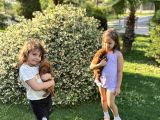 Safkan  Orji̇nal Reddark Bebeği̇mi̇z