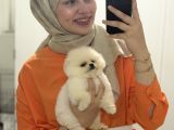 Ufak Burunlu 2 Aylik Dişi Pomeri̇an Boo
