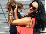 Efsane Doberman Yavrularım Sağlık Ve Irk Garantili