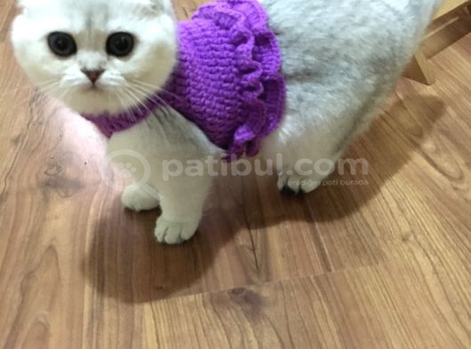Bebeklik Sendromu Yaşamak Istemeyene
