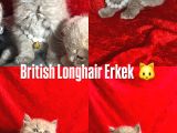 Uygun Bebekler İstanbul