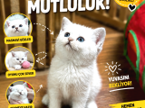 Kucak delisi sakin oyuncu minnoş