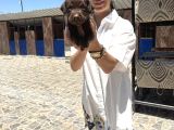 Labrador Retriver Yavrularım Sağlık Gara