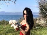 Maltese Yavrularım Sağlık Ve Irk Garan
