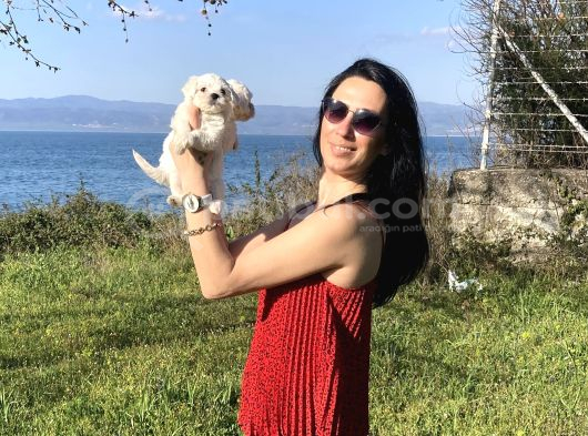 Maltese Yavrularım Sağlık Ve Irk Garan görsel