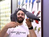 60 Günlük Belgeli̇ Bebek El Besleme Jako Yavrularimiz