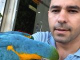 3 Yaşında Macaw Tamamen Evcil Adana