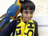 3 Yaşında Macaw Tamamen Evcil Adana