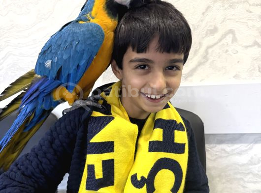3 Yaşında Macaw Tamamen Evcil Adana görsel