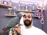 100 Keli̇me Konuşan Full Evci̇l Geveze Jako