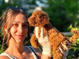 Irk Garantili Toy Poodle Bebekler