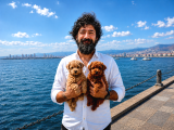 şcrli safkan anne babadan dizayn ırk maltipoo yavrularımız