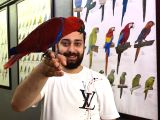 Mikroçipli belgeli evcil kırmızı eclectus papağanımız