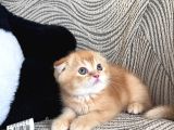 Daha Güzelleri̇ Dogmadi̇