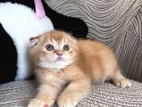 Daha Güzelleri̇ Dogmadi̇