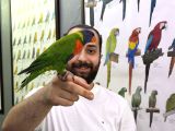 Rainbow Gökkuşağı Lori Papağanımız Full Evcil Konuşan
