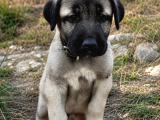 Geleceği̇n Dev Adaylari Hazir