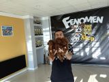 RENK RENK ORJİNAL TOY POODLE YAVRULARIMIZ GÜNCEL ANKARA