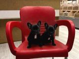 İster Blue-Ister Black French Bulldog Yavrular