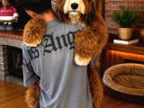 Türki̇yede Tek Bernedoodle Yavrulari