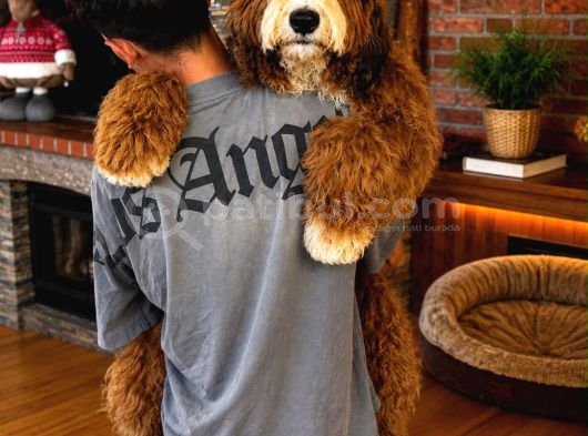 Türki̇yede Tek Bernedoodle Yavrulari görsel
